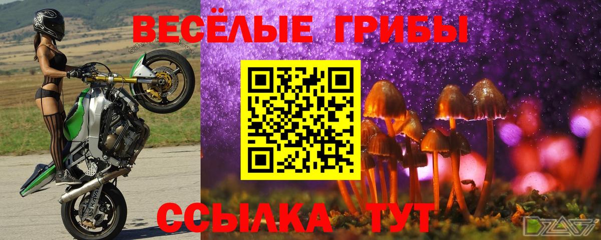 Галлюциногенные грибы MAGIC MUSHROOMS  Вход с VPN  Псилоцибиновые грибы мицелий  Кострома 